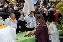 Fête du Mimosa à Biot en 2008