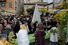 Fête du Mimosa à Biot en 2008