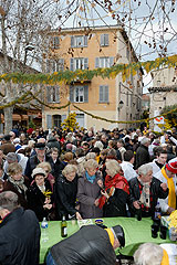 Fête du Mimosa à Biot en 2008