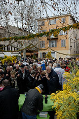 Fête du Mimosa à Biot en 2008