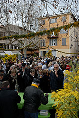 Fête du Mimosa à Biot en 2008