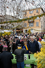 Fête du Mimosa à Biot en 2008