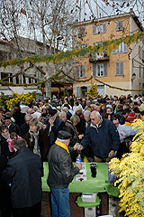 Fête du Mimosa à Biot en 2008