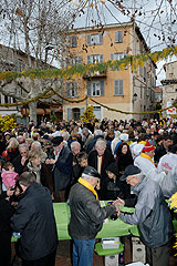 Fête du Mimosa à Biot en 2008