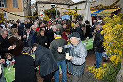 Fête du Mimosa à Biot en 2008