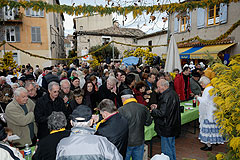 Fête du Mimosa à Biot en 2008