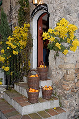 Fête du Mimosa à Biot en 2008
