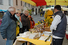 Fête du Mimosa à Biot en 2008