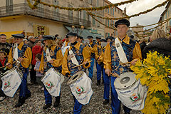 Fête du Mimosa à Biot en 2008