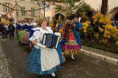 Fête du Mimosa à Biot en 2008