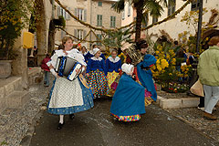 Fête du Mimosa à Biot en 2008