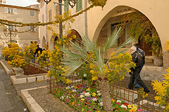 Fête du Mimosa à Biot en 2008