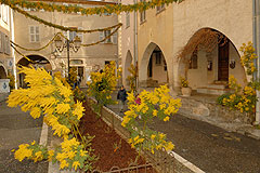 Fête du Mimosa à Biot en 2008