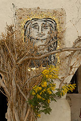 Fête du Mimosa à Biot en 2008