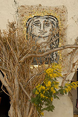 Fête du Mimosa à Biot en 2008