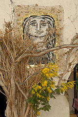 Fête du Mimosa à Biot en 2008