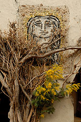 Fête du Mimosa à Biot en 2008