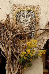 Fête du Mimosa à Biot en 2008