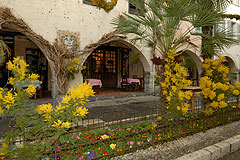 Fête du Mimosa à Biot en 2008