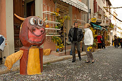 Fête du Mimosa à Biot en 2008