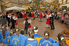 Fête du Mimosa à Biot en 2008