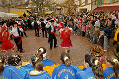 Fête du Mimosa à Biot en 2008