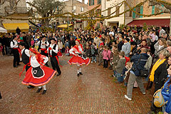 Fête du Mimosa à Biot en 2008