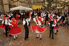 Fête du Mimosa à Biot en 2008