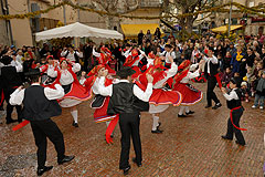 Fête du Mimosa à Biot en 2008