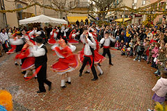 Fête du Mimosa à Biot en 2008
