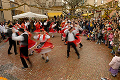 Fête du Mimosa à Biot en 2008