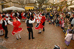 Fête du Mimosa à Biot en 2008