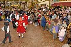 Fête du Mimosa à Biot en 2008