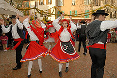 Fête du Mimosa à Biot en 2008
