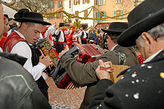 Fête du Mimosa à Biot en 2008