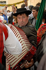 Fête du Mimosa à Biot en 2008