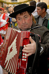 Fête du Mimosa à Biot en 2008