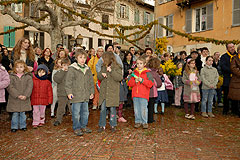 Fête du Mimosa à Biot en 2008