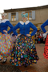 Fête du Mimosa à Biot en 2008