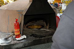 Fête du Mimosa à Biot en 2008