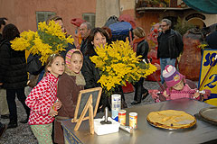 Fête du Mimosa à Biot en 2008
