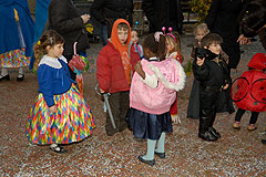 Fête du Mimosa à Biot en 2008