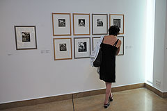 Musée Fernand-Léger à Biot