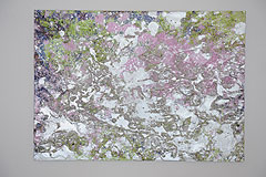 Exposition d’Adrian Schiess au musée national Fernand Léger