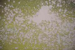 Exposition d’Adrian Schiess au musée national Fernand Léger