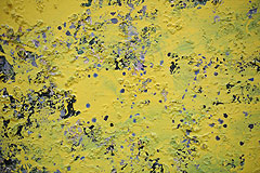 Exposition d’Adrian Schiess au musée national Fernand Léger