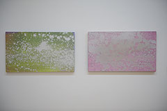 Exposition d’Adrian Schiess au musée national Fernand Léger