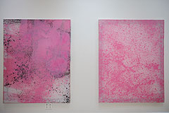 Exposition d’Adrian Schiess au musée national Fernand Léger