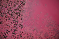 Exposition d’Adrian Schiess au musée national Fernand Léger