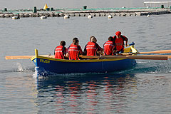 Championnat 2008 de Rame traditionelle à Cagne sur mer